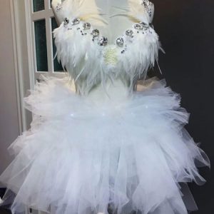 Jazz Dance Costume Sexy Skit Bra Panty Outfit Feathers Women Nightclub Wear Halloween