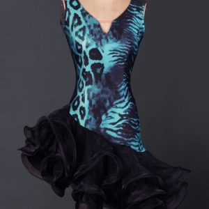 Latin Dance Costume Organza Patchwork Two Tone V Neck Sleeveless Irregular Design Ruffles Latin Dance Dress