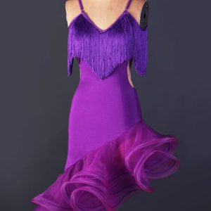 Latin Dance Dress Organza V Neck Spaghetti Strap Fringes Cut Out Irregular Hem Bodycon Latin Dance Costume