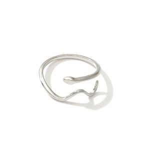 Snake Shape Brief Metal Open Ring